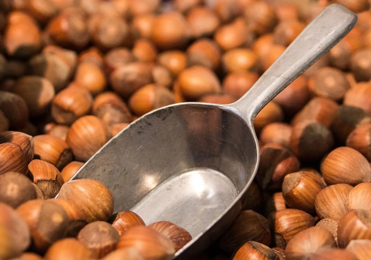 Hvad er det bedste tidspunkt at tage proteinpulver?
