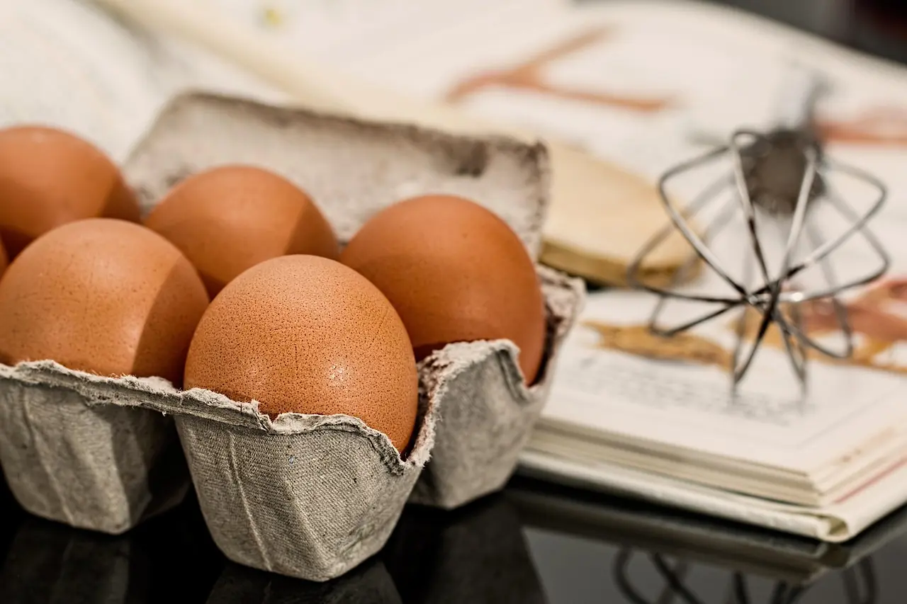 Sådan beregner du dit proteinbehov: gram pr. kg kropsvægt
