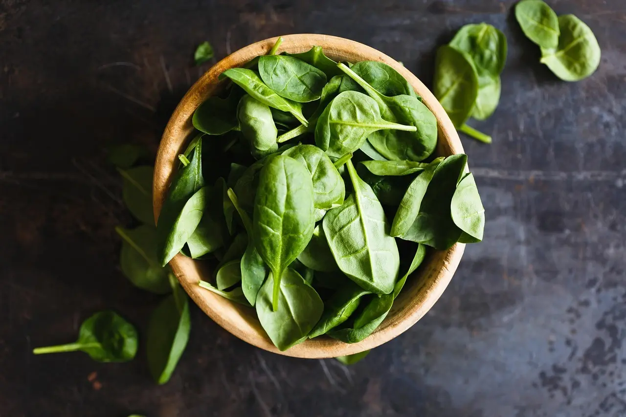 Hvilke proteinkilder mætter bedst for vegetarer?