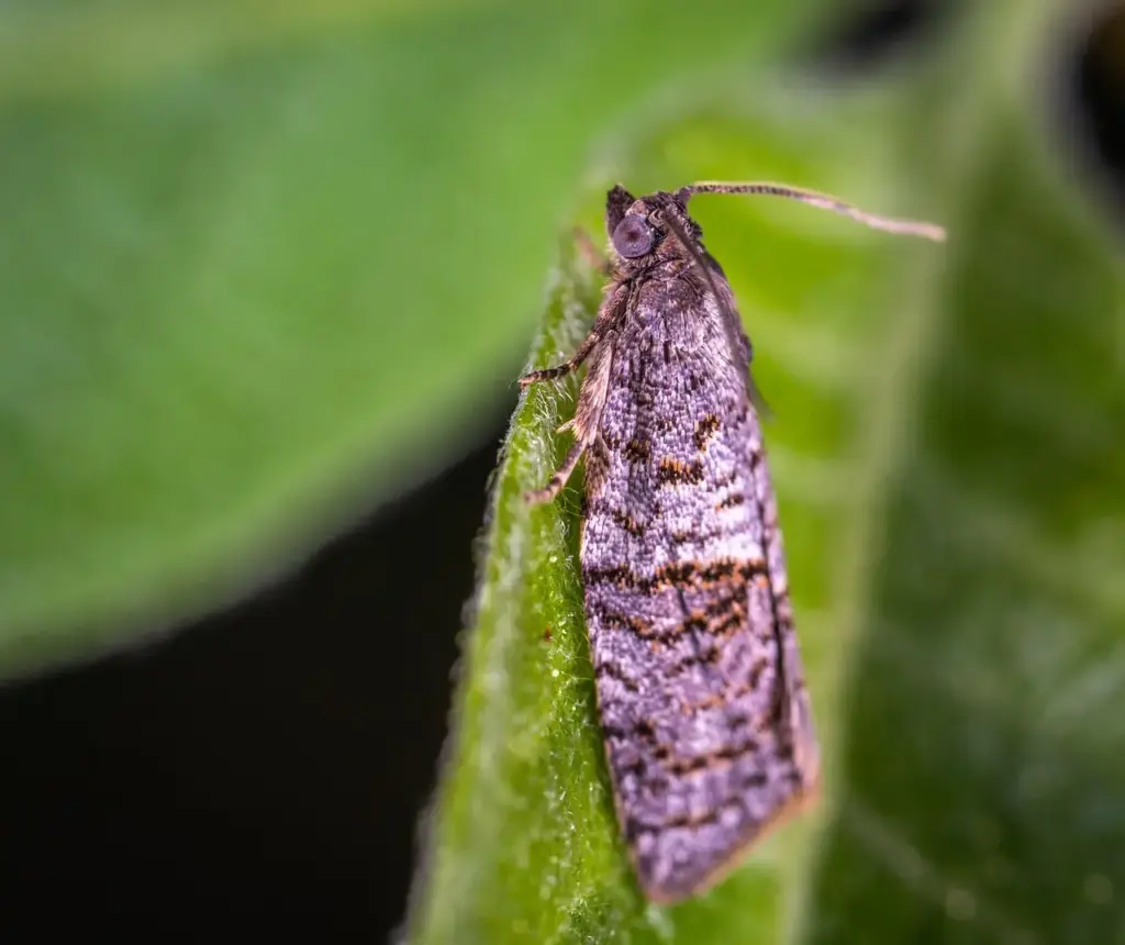 10 romantiske stop på en roadtrip i Mols Bjerge