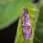 10 romantiske stop på en roadtrip i Mols Bjerge