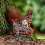 11 fejl, der gør dine onlinekøb dyrere