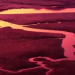 11 leave-in conditioners til lavporøst hår