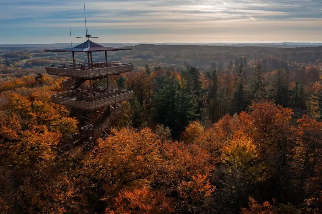 6 udsigtstårne i Jylland med gratis adgang