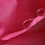 7 begynderfejl i akvarel - og sådan undgår du dem