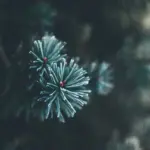 7 punch needle-fejl og sådan retter du dem