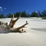 9 fejl, der ødelægger din selvbruner i ansigtet