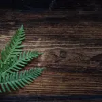 9 idéer til ecoprint-mønstre på bomuld