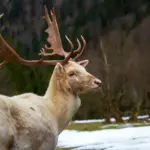 9 naturoplevelser tæt på København uden bil