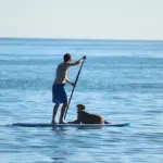 Er kundeklubpoint mere værd end kontante rabatter?