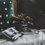 Hvilke planter trives bedst på nordvendte altaner?