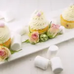 Hvordan laver jeg gelprint uden Gelli Plate?