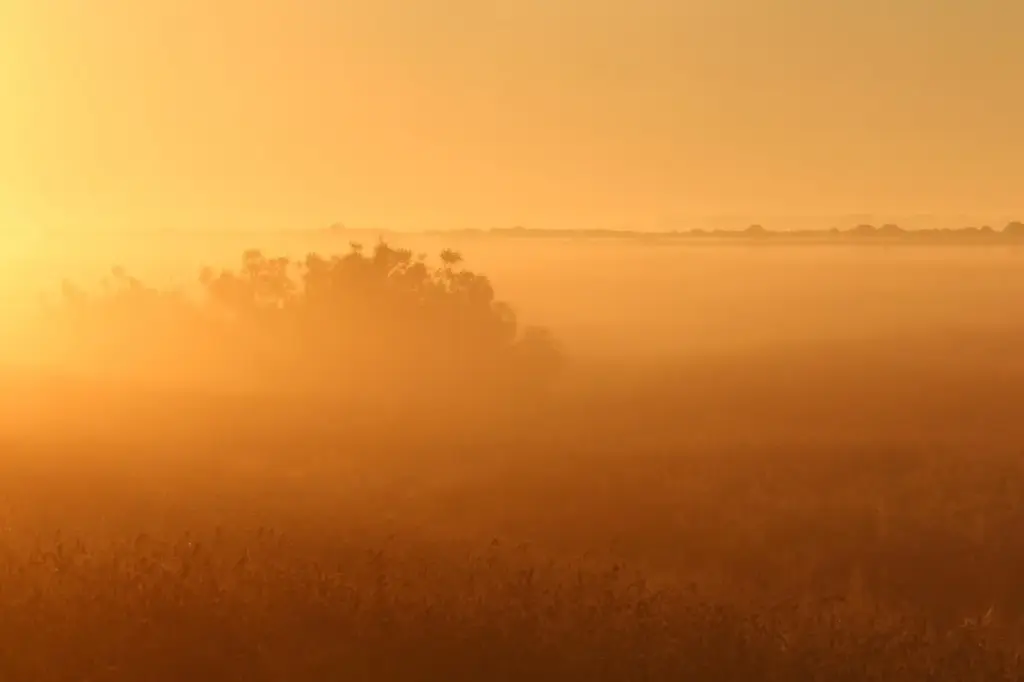 Indfør stille time på kollegiet: sådan gør I
