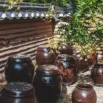 Kan fermenterede fødevarer lindre IBS-symptomer?