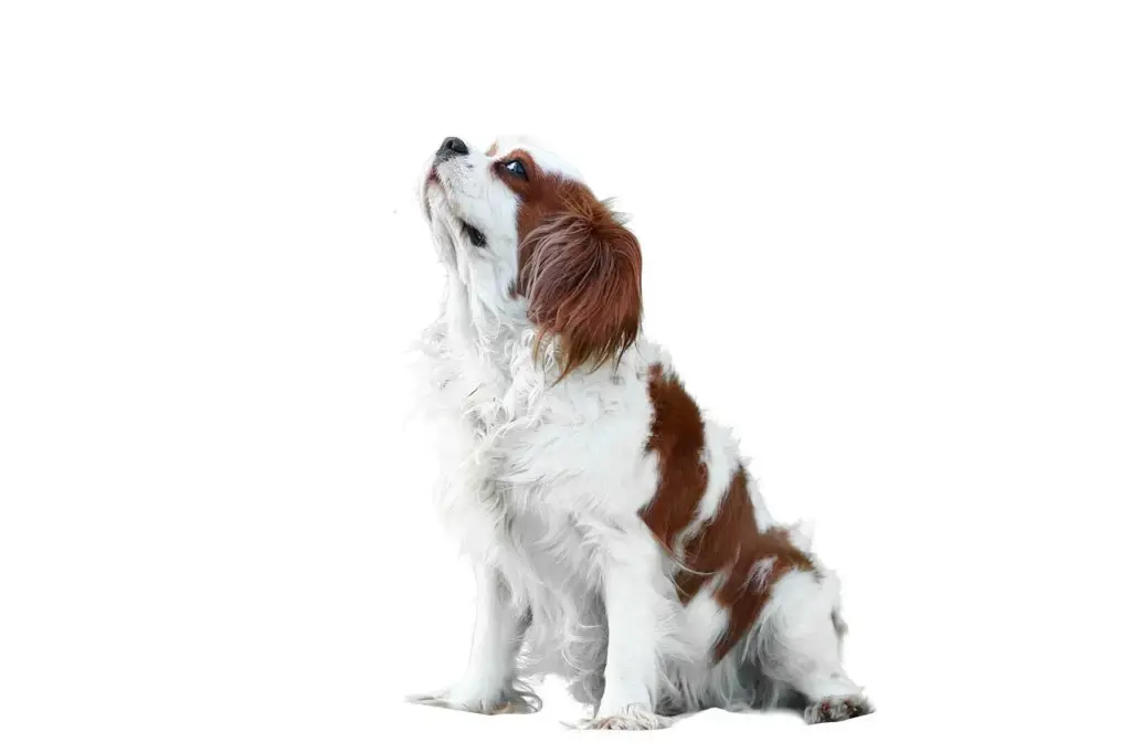 Medvirkende i Sex And The City