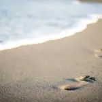 Sådan håndterer du nabostøj uden konflikt