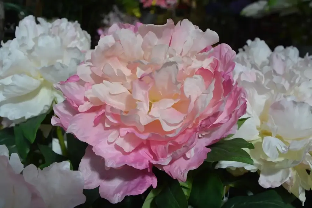 Sådan læser du materialesammensætningen, før du køber online