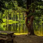 Sådan planlægger du en overraskelsesdate for små penge