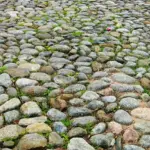 Sådan planlægger I en romantisk weekend på Ærø