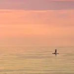 SUP-tur gennem Silkeborgsøerne ved solopgang