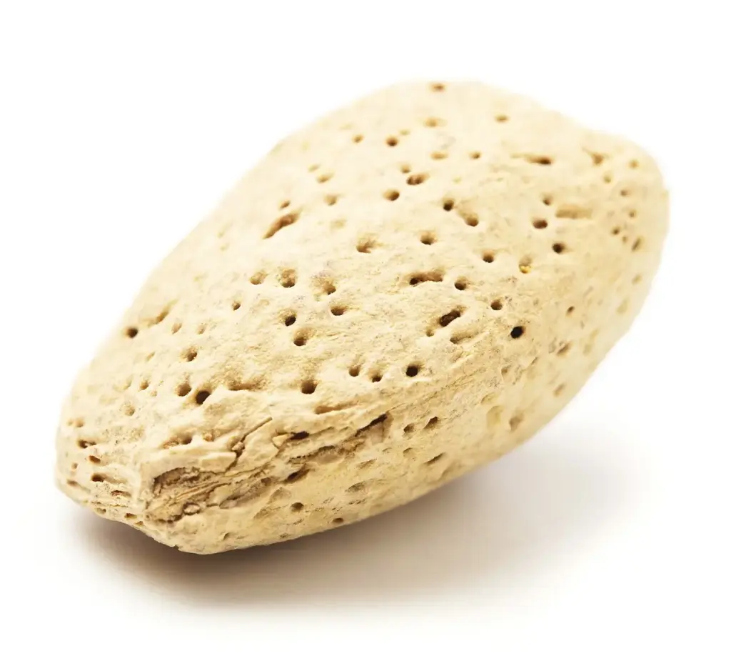 Vinterrutine til rosacea: trin, der dæmper rødme